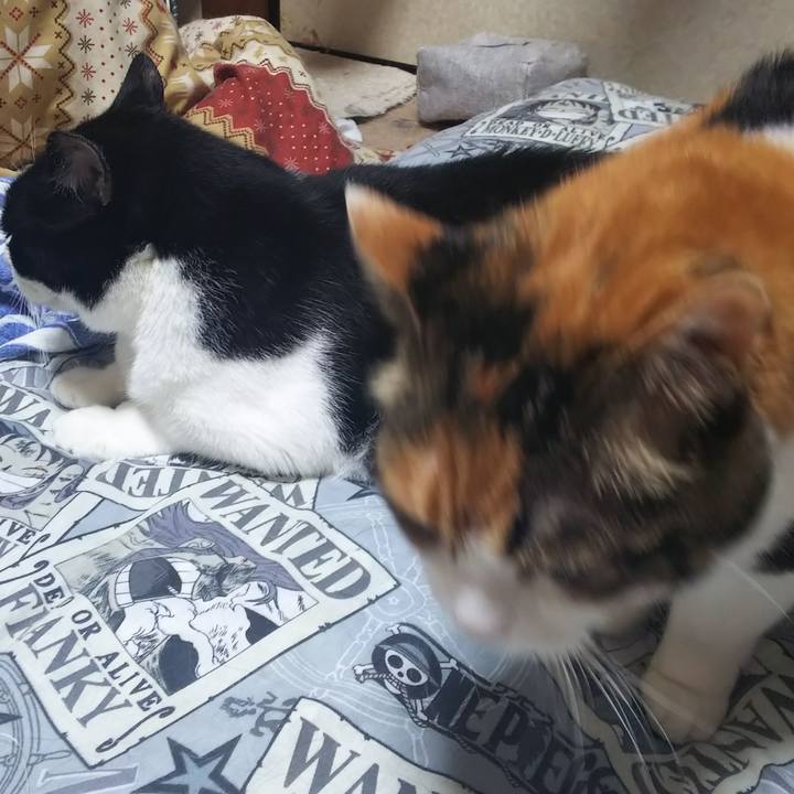 Eb92db96 29a1 4b6f 8f12 e8aed011e034 1565733626015