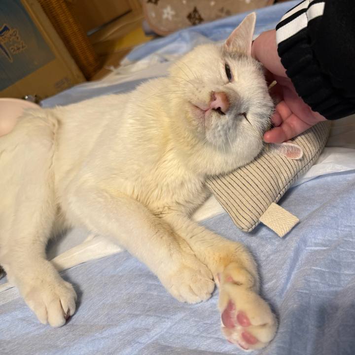 Eb92faf5 e017 4c01 9fc4 53b5ffd6249f 1762684739581