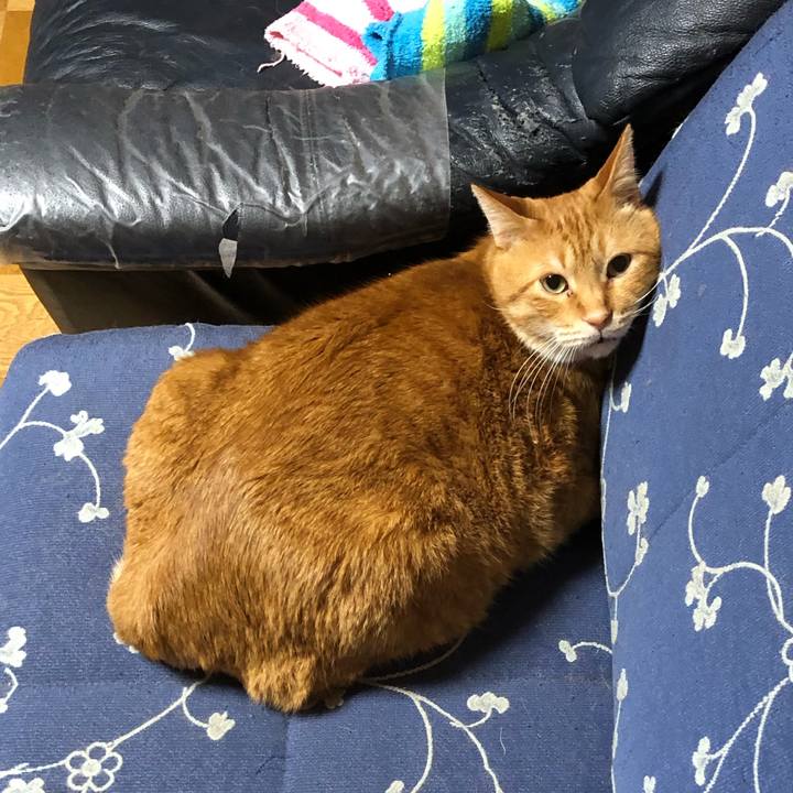 Eb9376b5 d4e7 4943 8f6c 31227d7a1402 1591099205891