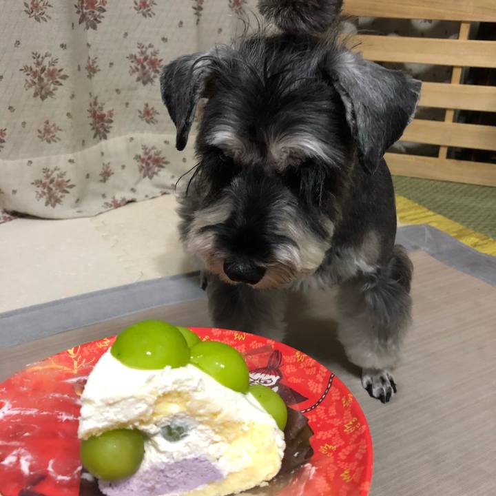 Eb93c22c efe1 4cb9 8958 02c8e29668f1 1631274732832