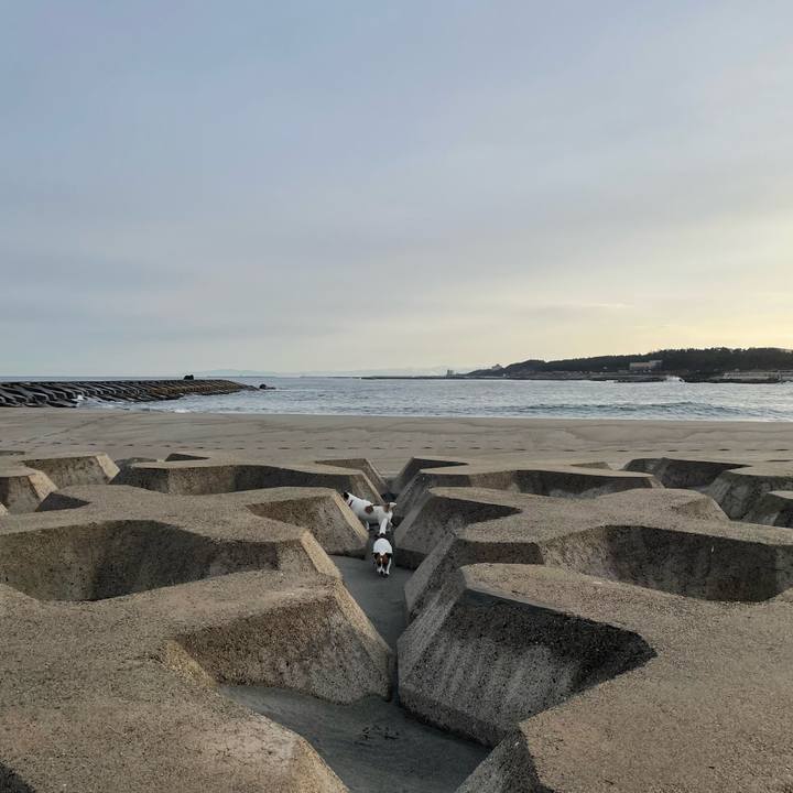 Eb94087c 9b26 4ddb 9f7e 435ba4a5b919 1772755276727