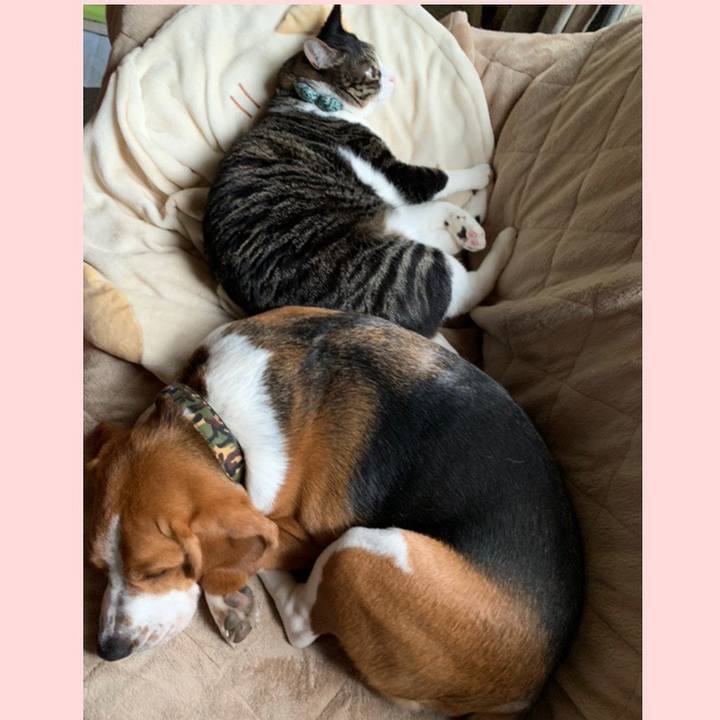 Eb94261c 37cb 4389 b622 dd5440ea5078 1550802028859