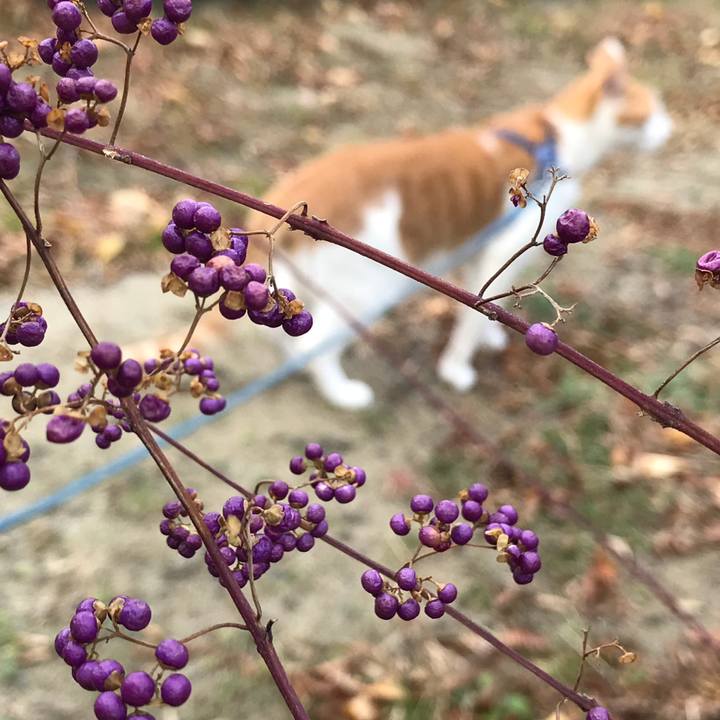 Eb94363c b949 4362 a905 762f4cb9cb01 1511333077741