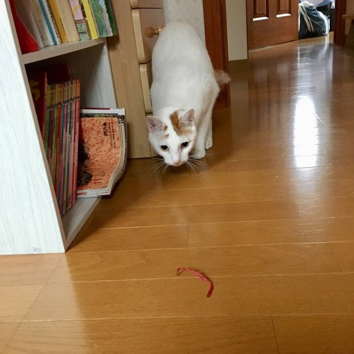 Eb94570d 204e 43fc bd2e 92694cf290ec 1531001792324