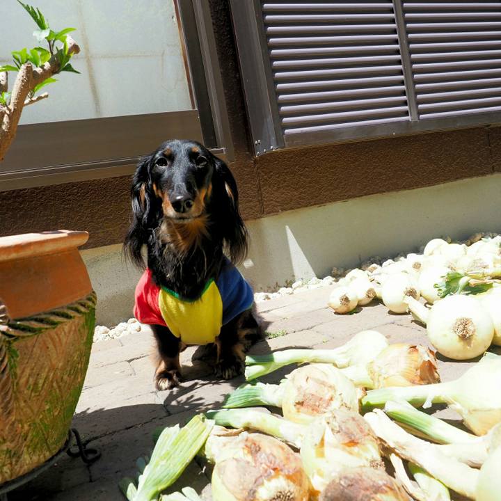 Eb949bc0 4fbd 45b6 ac4e 4590857f4858 1558761580298