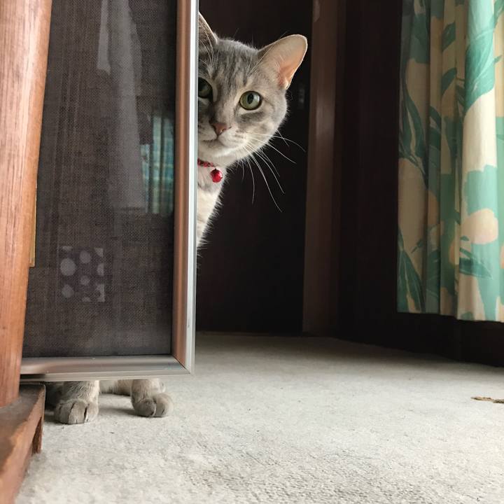 Eb94b5af 7a03 4d0b 88a2 58738e876bad 1562393547893