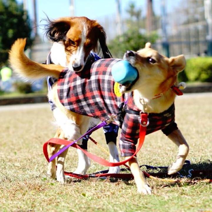 Eb94c2fa ced9 4ea7 acb2 acd71fc3404b 1541158094072