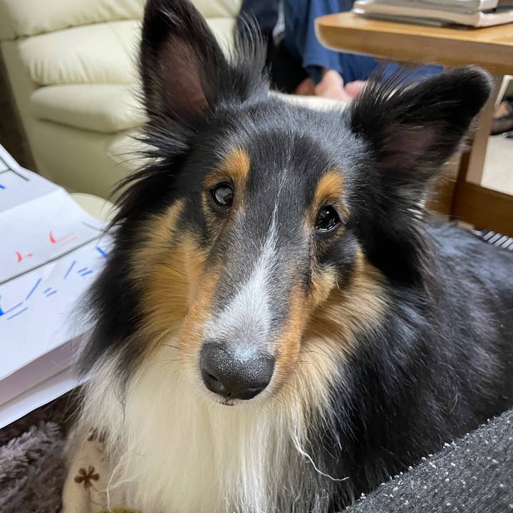 Eb94ee92 f679 4a1f b131 b8cf3a4eca16 1612908379467