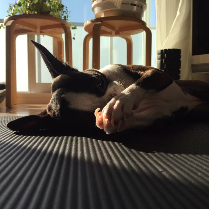 Eb94f219 a17c 4f31 be47 fd7761a10218 1543118747594