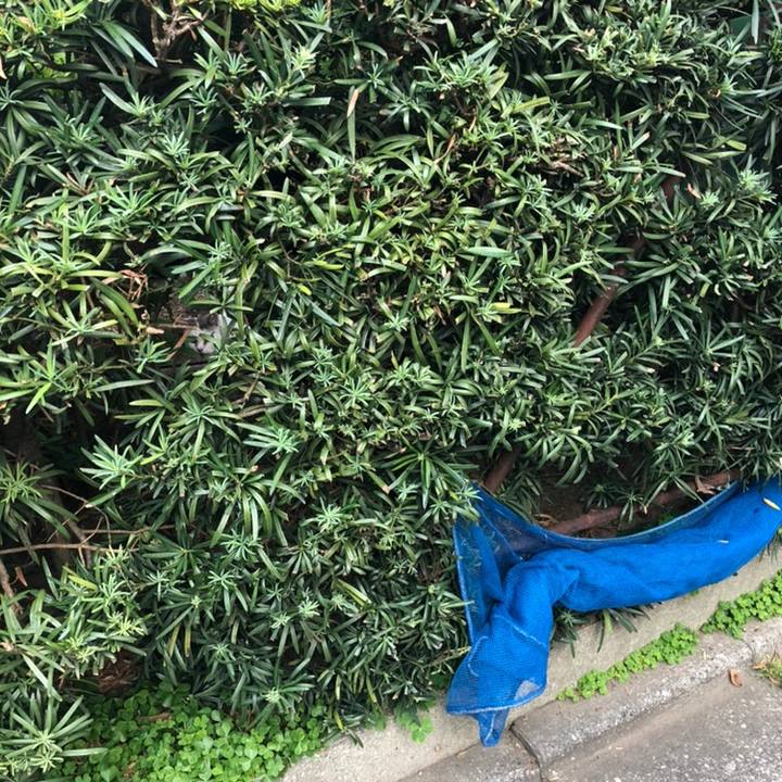 Eb94fc9e 22cc 4034 b214 293444692d91 1558187859911