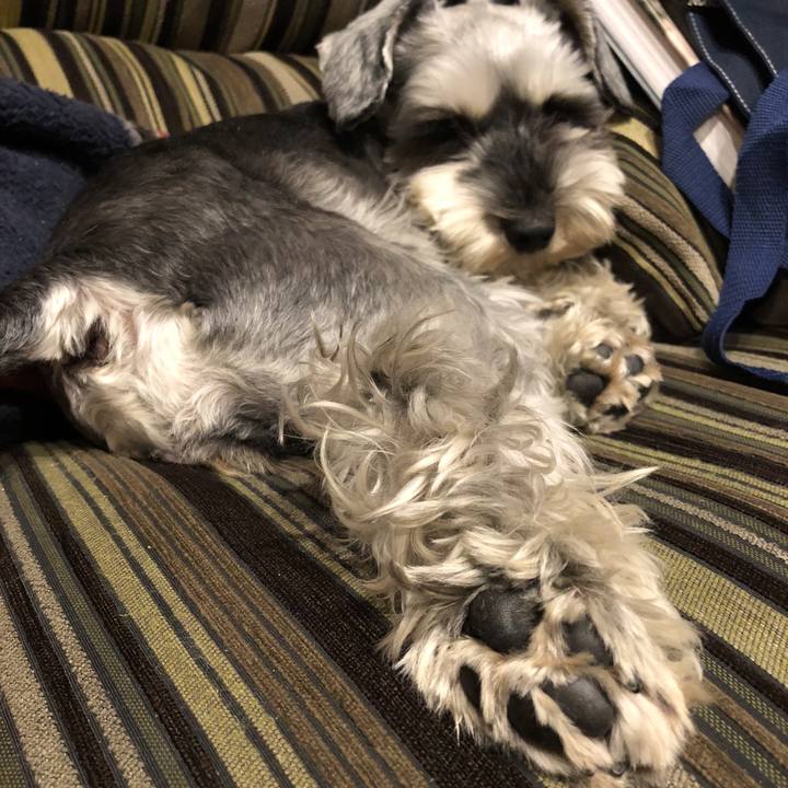 Eb94fed8 b14a 48a4 bb55 ef24bc20bc73 1523705959032