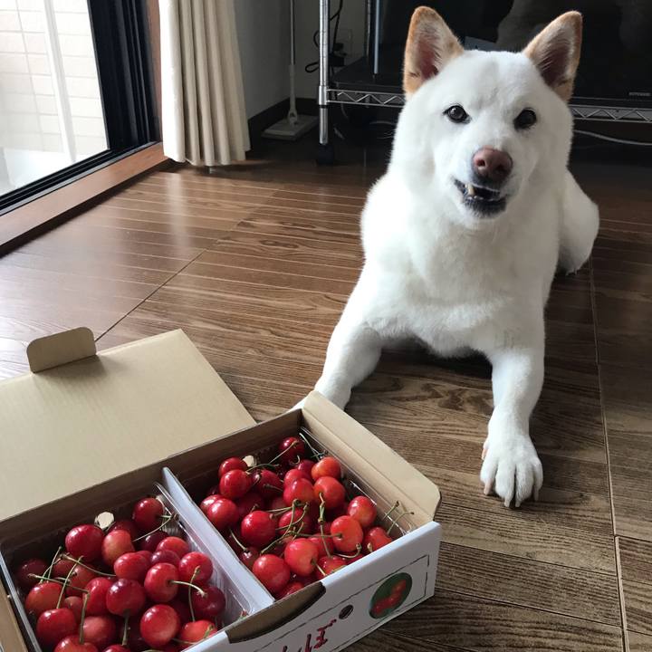 Eb950955 9af0 45a6 a1e4 1c5c0df12ec4 1561871028120