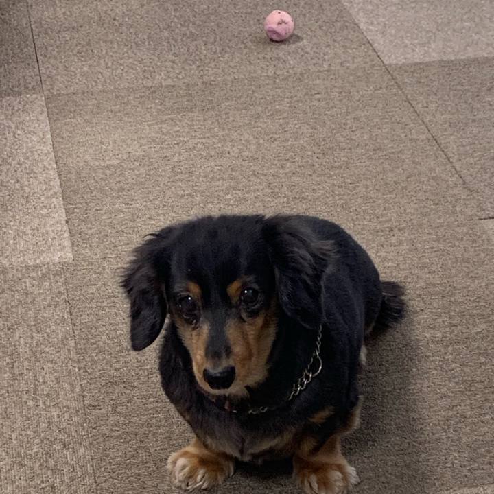 Eb950967 628e 447e a99b 80608737631d 1574113593806