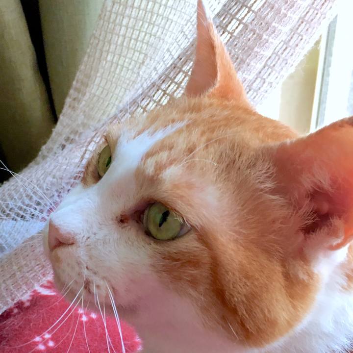 Eb9552b1 333d 4d5e a285 e90aa04a7790 1568871292925