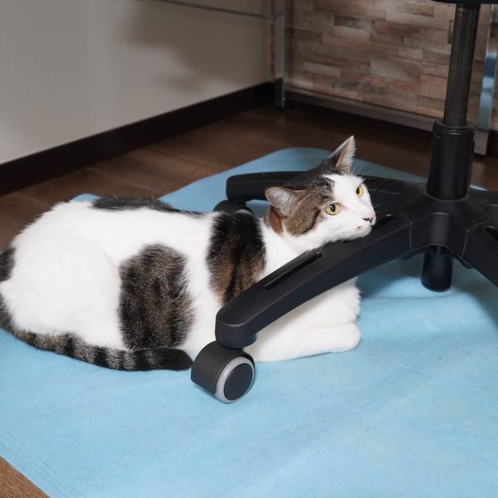 Eb956064 9407 4669 b0d6 06dbeaafeba1 1596809034734