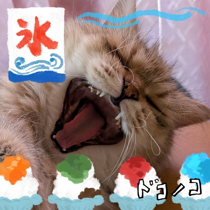 Eb9569c4 f77c 4937 8f54 2af99131af9b 1723324740264