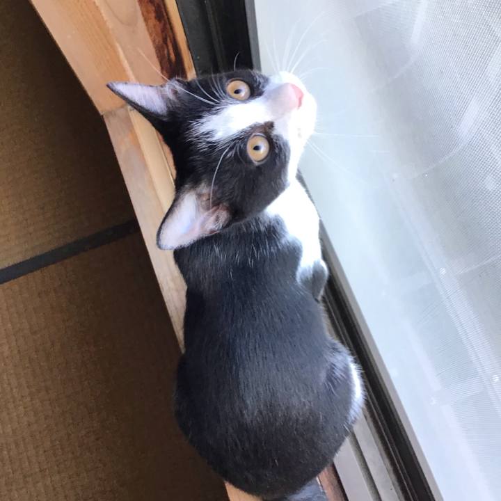 Eb956d6b 0ad7 4948 bf2b 79b65cf6741e 1629277928898