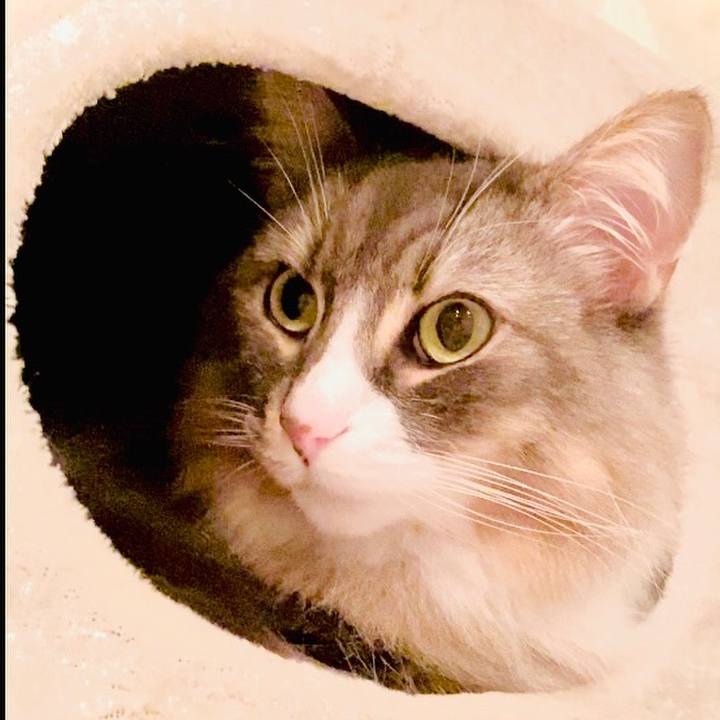 Eb958aa4 7320 48a6 9a20 5de92f2f2f98 1582620271989