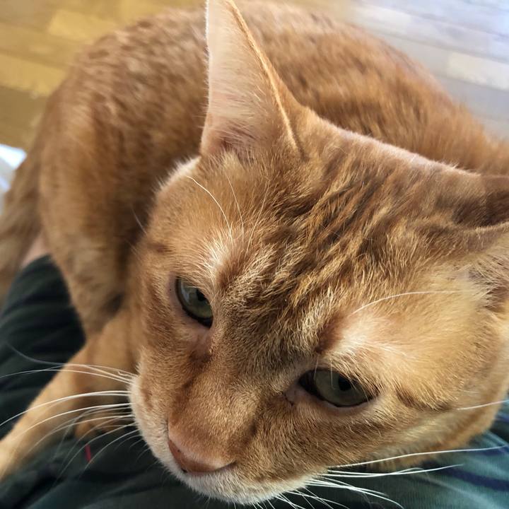 Eb9597ef 8727 4c83 ade2 aef6d68bdb0f 1615587933986