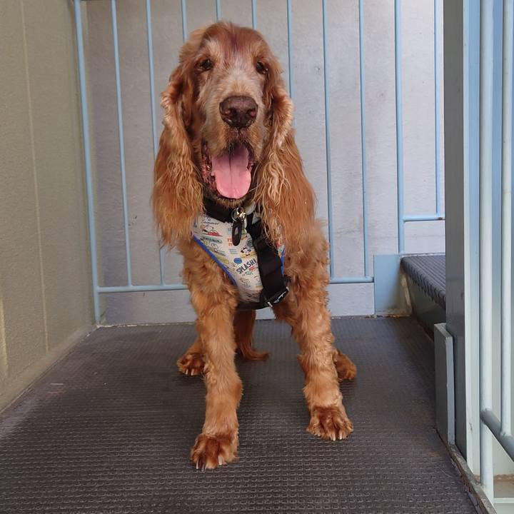 Eb95bf29 94e4 4850 8dd7 99738e7c4690 1718353001207