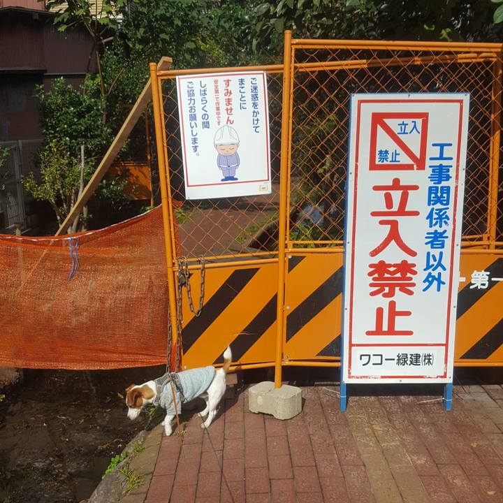 Eb95cacf 3202 434d ac66 bd0cff2bc902 1573470765773