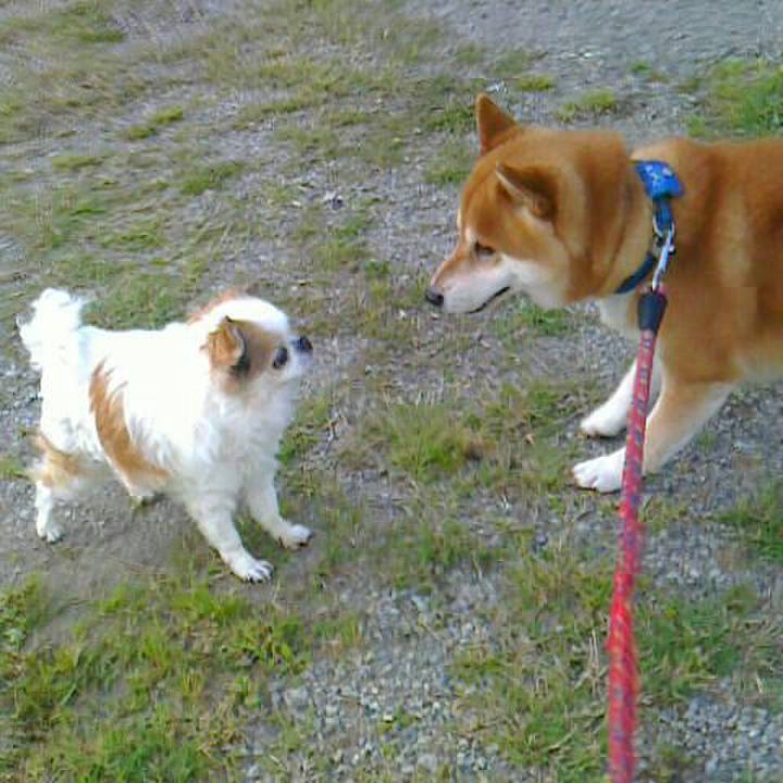 Eb95fe80 b031 4d98 a296 00c163187357 1557117979383