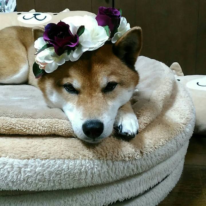 Eb96535b e475 4781 a1bc c4aa6b61b8c2 1555666365150