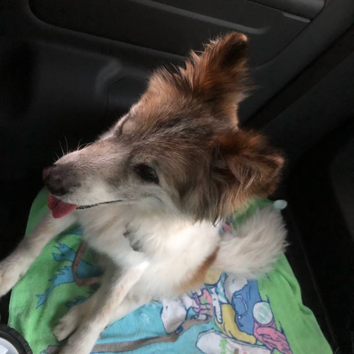 Eb96605d 0ade 403f a57b 20afe2c3f227 1538822186411