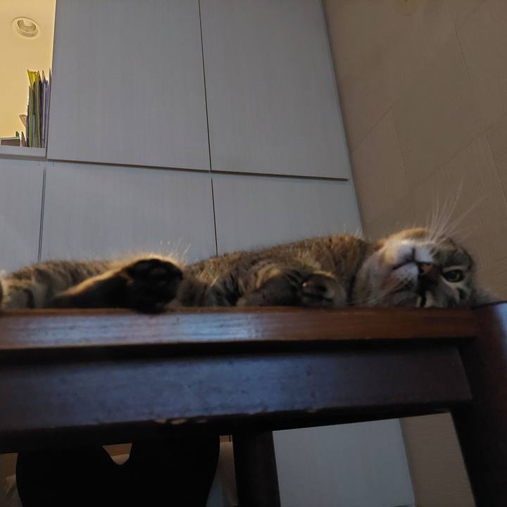 Eb96c217 fb0b 4a46 8dbb e95bb9ac6f30 1634501809324