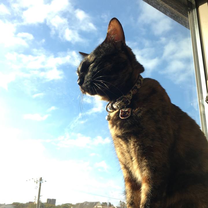 Eb96cf7a cee6 4aff 8f53 b6a8982eab11 1520033343290