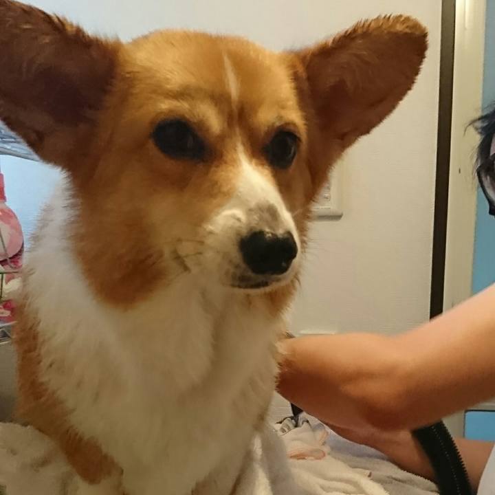 Eb96d834 24ec 4670 abe6 86311b1bc8f3 1536484055374