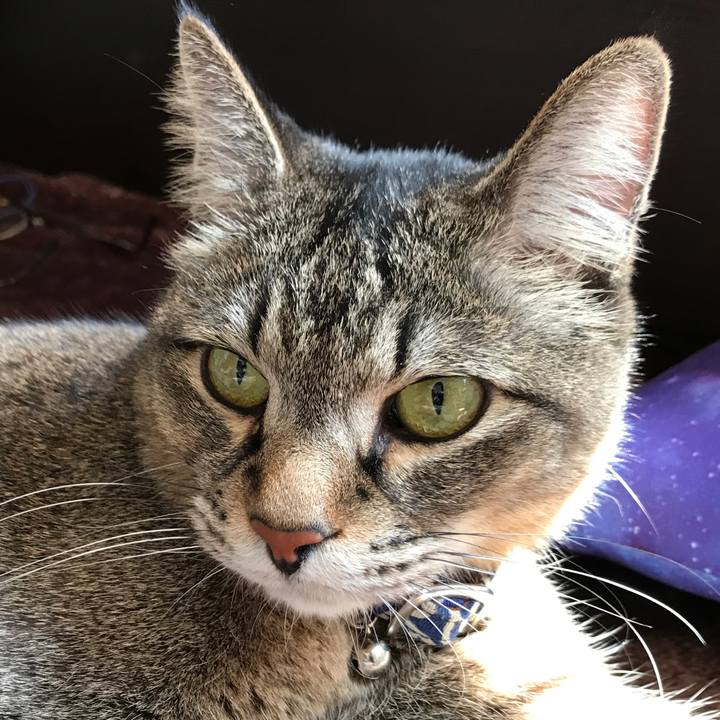 Eb96e5f6 32fe 4827 bbb6 77862b2bd48f 1555907014040