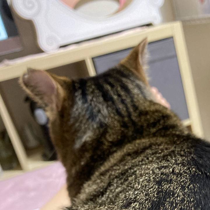 Eb9715ee cc7e 4f11 8ef3 453bdfd65142 1593176142439