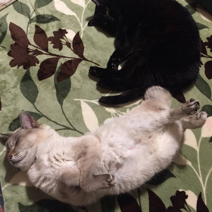 Eb972cd1 2a31 4b94 bd49 9e6566e7f267 1583364643256