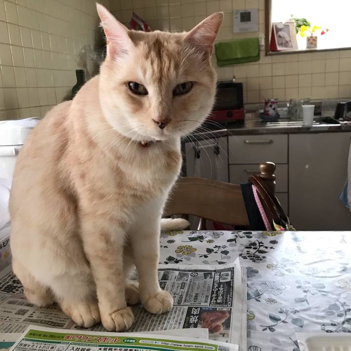 Eb9735f4 f332 4016 b014 22139a77afab 1587865885160