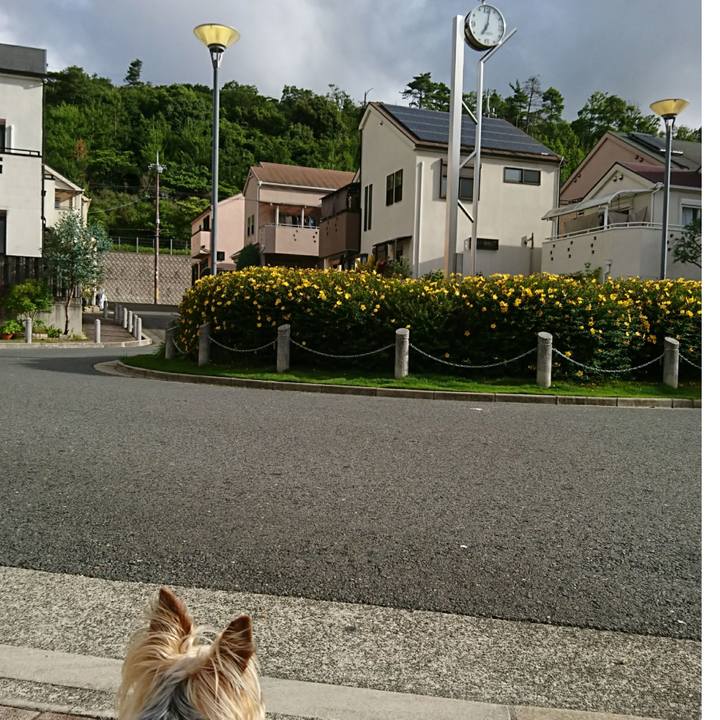 Eb974826 83d6 4590 92d6 7be501bfa034 1528842618409