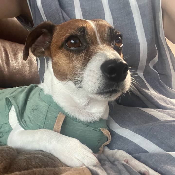 Eb979eef f794 4e17 a79b 0c013b5fd02f 1718789574458