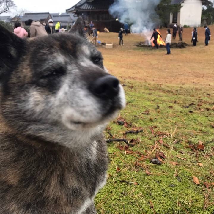 Eb97acab c716 4764 830c bc00fe1da9f8 1673787533710