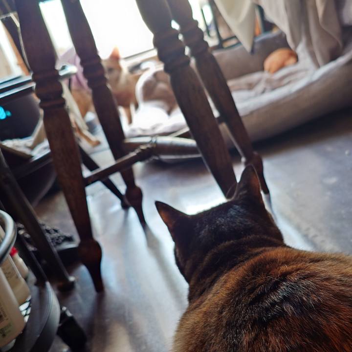 Eb97c91c 3f8a 4676 a14a d9556ced24e3 1772697120749