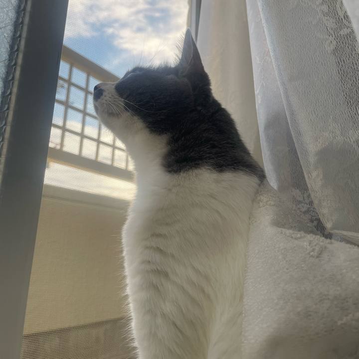 Eb97d19f a206 4af4 b979 0562e8a53db0 1728889919611