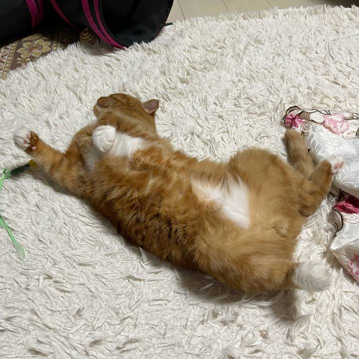 Eb97d5db 4463 4988 bd19 6fb7f706a62f 1625321934930