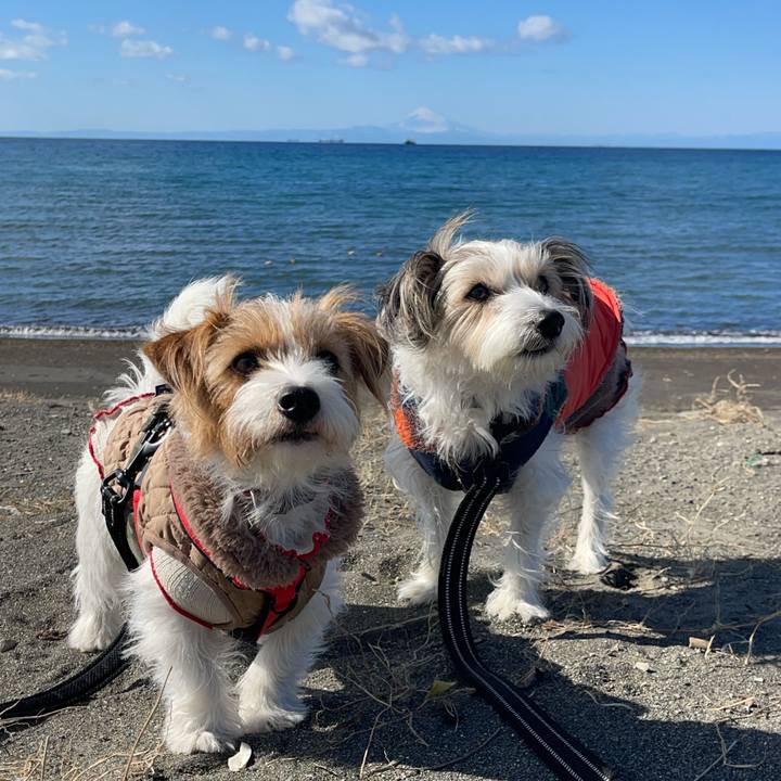 Eb97f9ca 2b82 493d b7f9 cb56d8f699ec 1770631352774