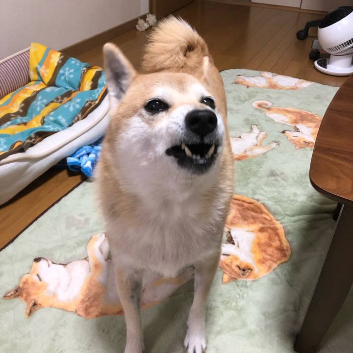 Eb9811b4 3466 4a57 907d 1efeeaf26008 1577451289573