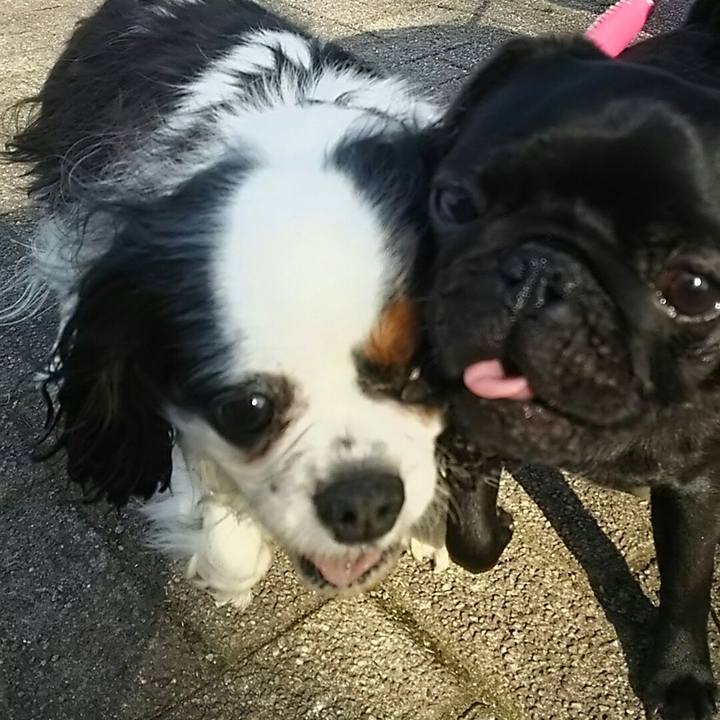 Eb9871b8 2aa2 467e 83b8 ec00c0a15d4a 1522229172062