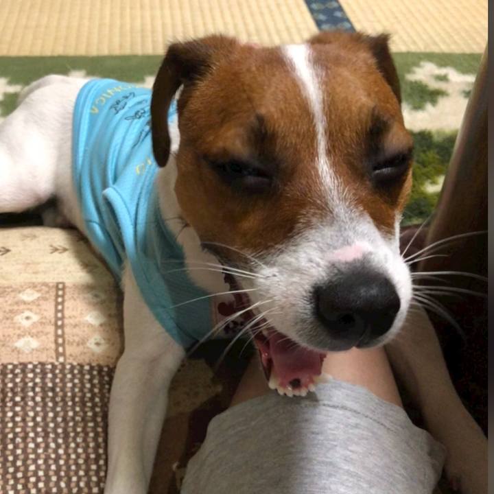 Eb98950b 216f 45a1 936c e86504869092 1543490271798