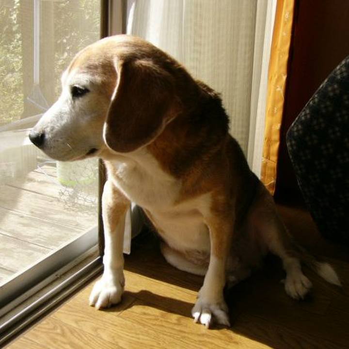 Eb98ef64 2eda 4295 ab72 2cfaecb888dc 1656889704650