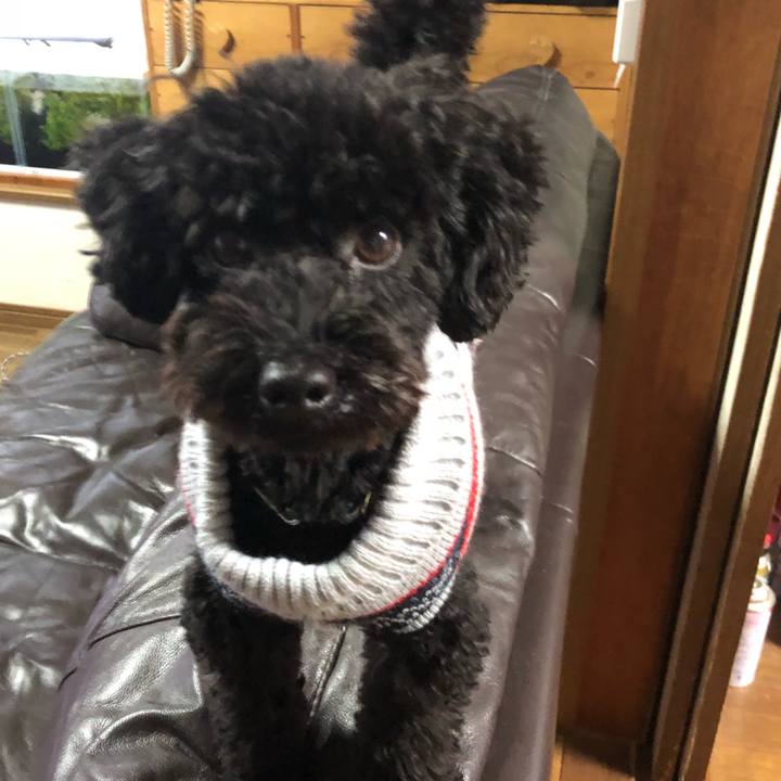 Eb98f9dc 570f 4bff b508 9a76a9cb10da 1512803969492