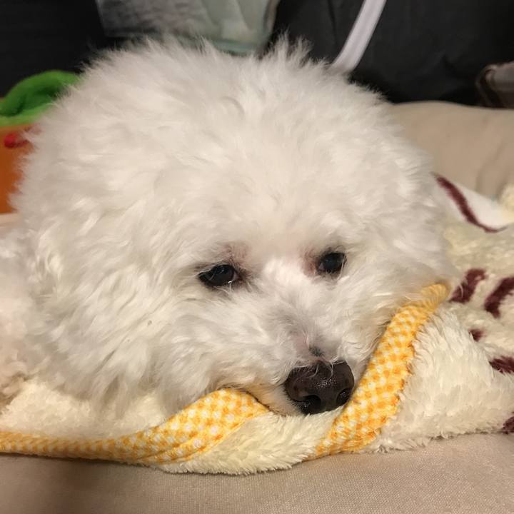 Eb993b1b 7f92 4c77 8f9f 7544d7312bc1 1540292992082