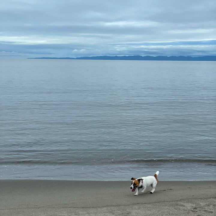 Eb996c0a d80b 4eef a279 09028d03dd84 1628987191407