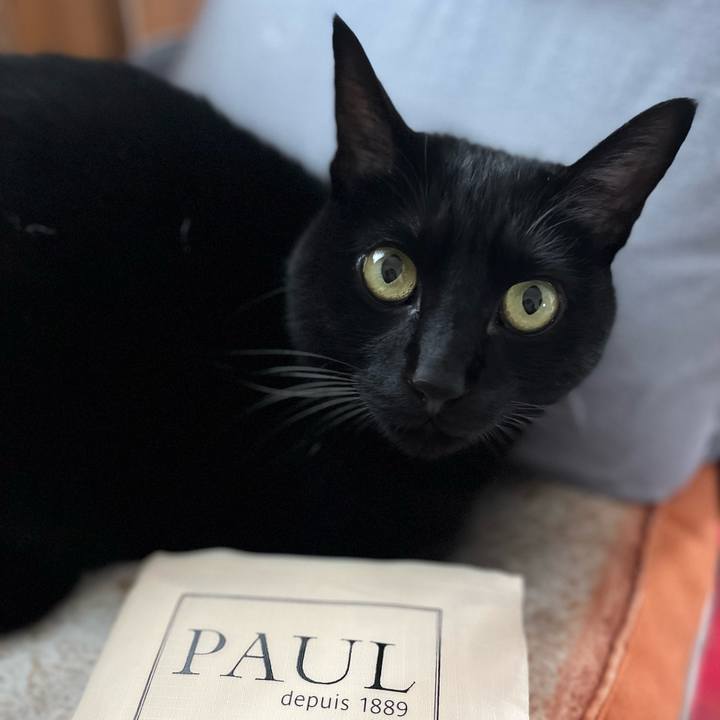 Eb998432 dcd1 4662 b149 f3db71c65804 1673660724849